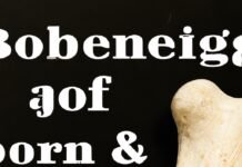 Bone and Joint Health: Building a Strong Foundation Bone and Joint Health: Building a Strong Foundation