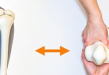 Exercise for Bone and Joint Health: Strengthening Your Frame Exercise for Bone and Joint Health: Strengthening Your Frame